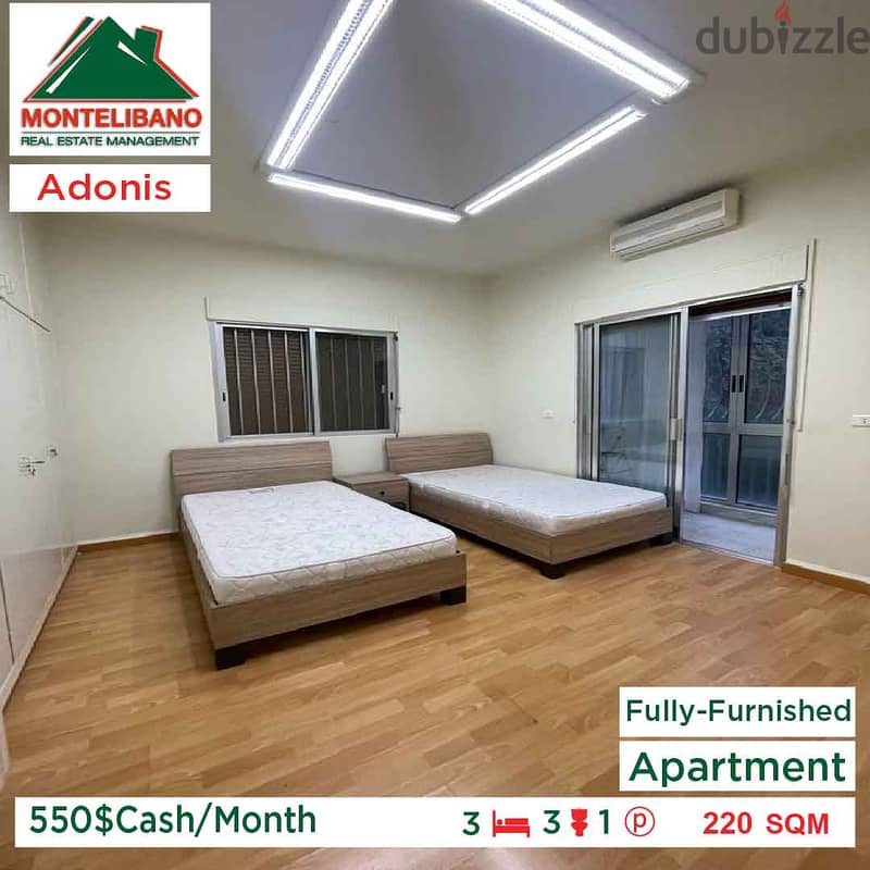 550$Cash/Month!!Apartment for rent in Adonis!! 2