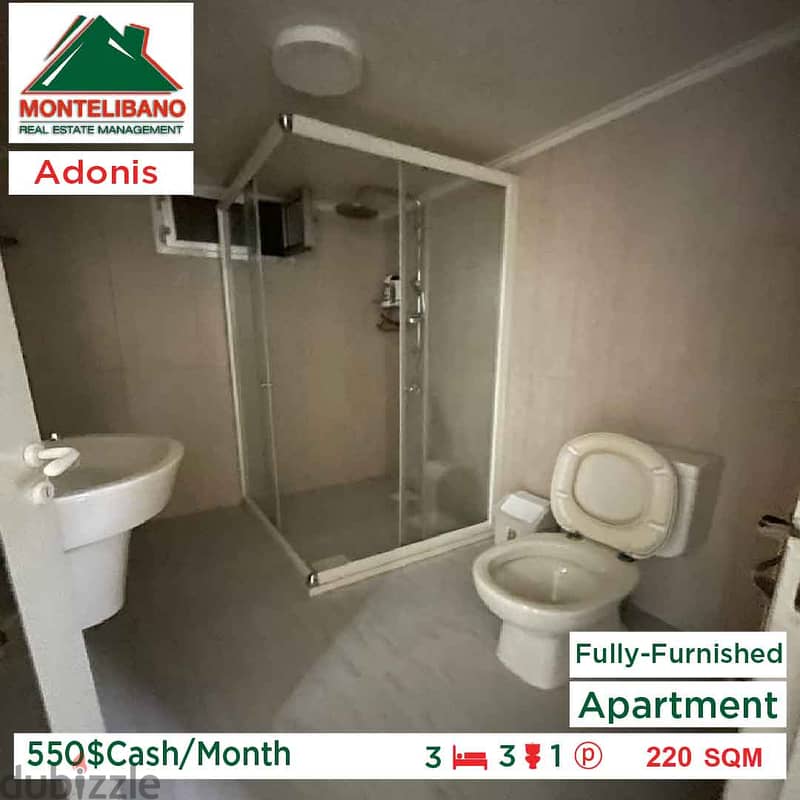 550$Cash/Month!!Apartment for rent in Adonis!! 4