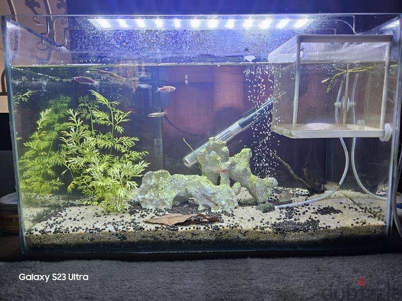 Aquarium 60 Liters All incluided 1