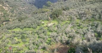 723 Sqm | Land For Sale With Panoramic Mountain View In Bsous 0