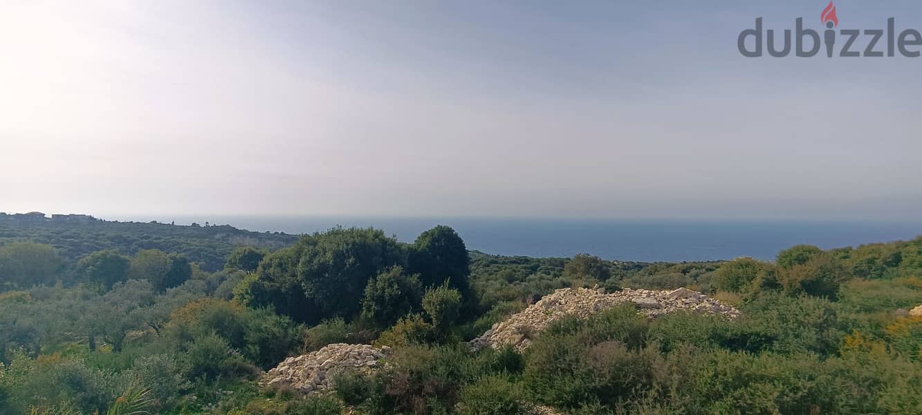 L14208-Land With Access to The Road for Sale in Berbara 1