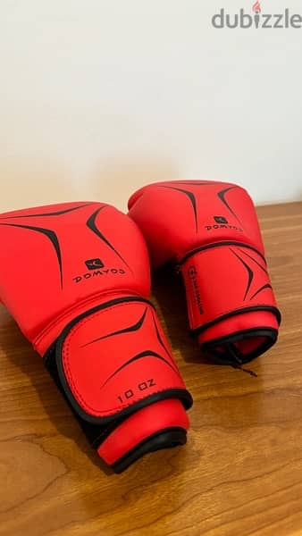 Boxing Gloves 1