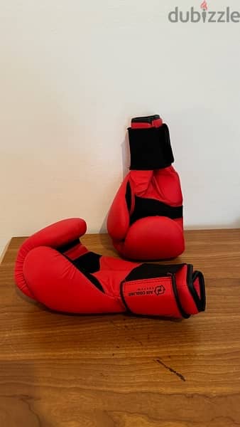 Boxing Gloves 3