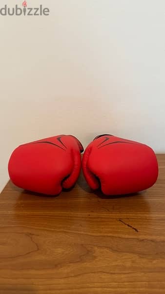 Boxing Gloves 4