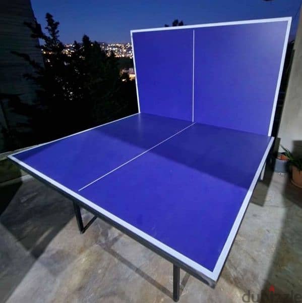 ping pong table indoor 1