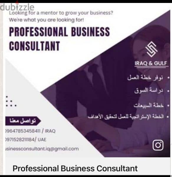 Business Consultant, Case study, projects , Sales strategies, 0