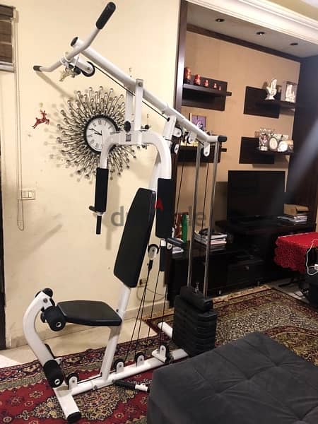 home gym machine 45kg 9