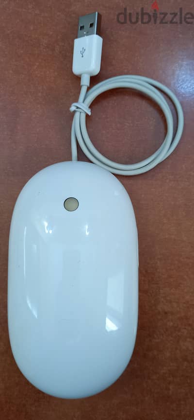 Apple mouse