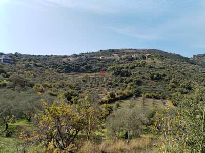 Land for sale in Eddeh Jbeil 30/50 ارض للبيع في إدة جبيل