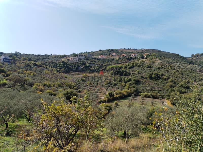 Land for sale in Eddeh Jbeil 30/50 ارض للبيع في إدة جبيل 0