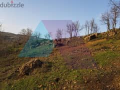 A 3000 m2 land with a view for sale in Fakra - أرض مطلة للبيع في فقرا