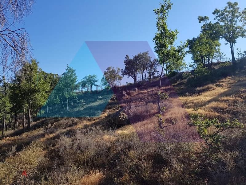 A 3000 m2 land with a view for sale in Fakra - أرض مطلة للبيع في فقرا 1