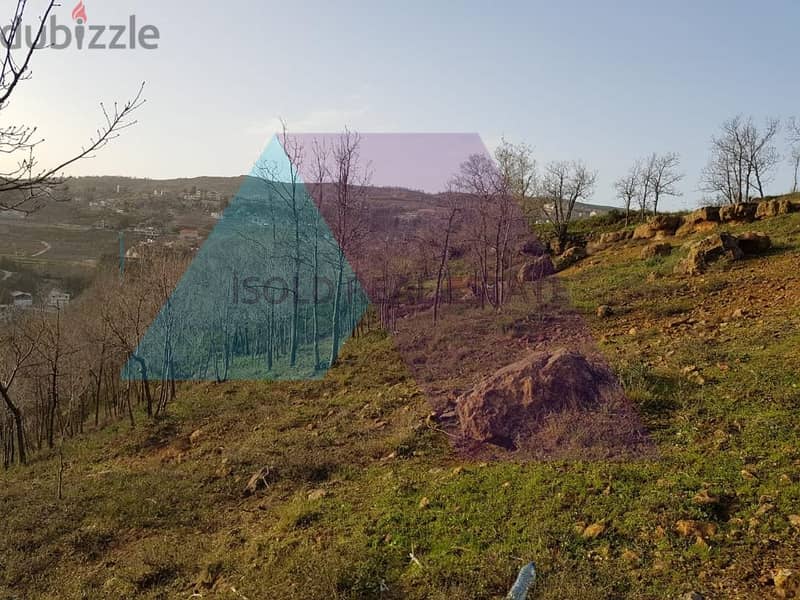 A 3000 m2 land with a view for sale in Fakra - أرض مطلة للبيع في فقرا 2