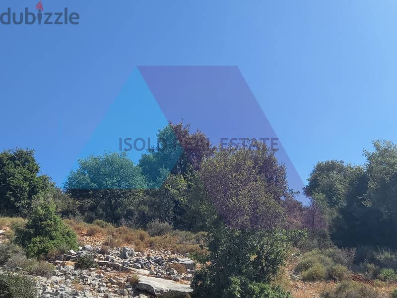 A 1800 m2 land having an open mountain view for sale in Assia/Batroun 1