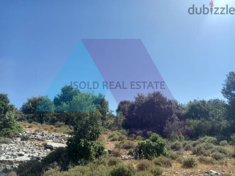 A 1800 m2 land having an open mountain view for sale in Assia/Batroun 5