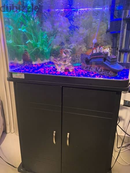 Full set fish aquarium with table for sale 1