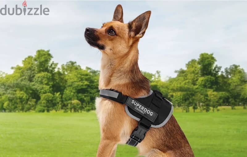 Dog Harness Large size Dog Collar 8