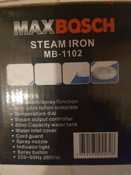 Steam Iron 1
