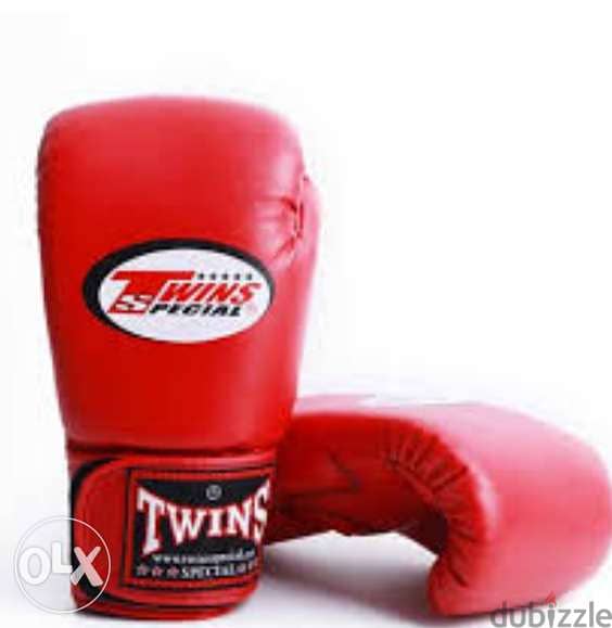 New Twins Special Boxing Gloves (Free Delivery) 1