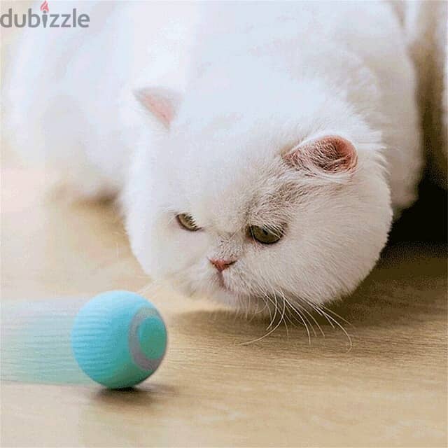 Smart Pet Ball - USB Rechargeable Interactive Gravity Toy 2