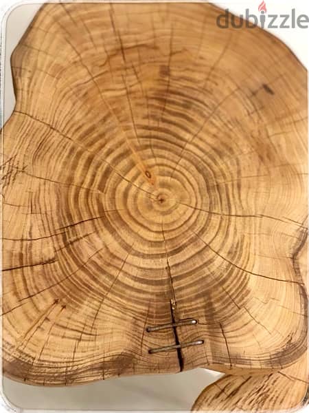 real wood tree slice side table 5