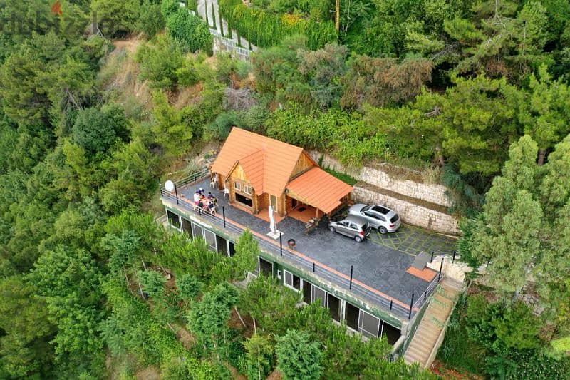 Villa for sale in Harissa فيلا للبيع في حريصا 6