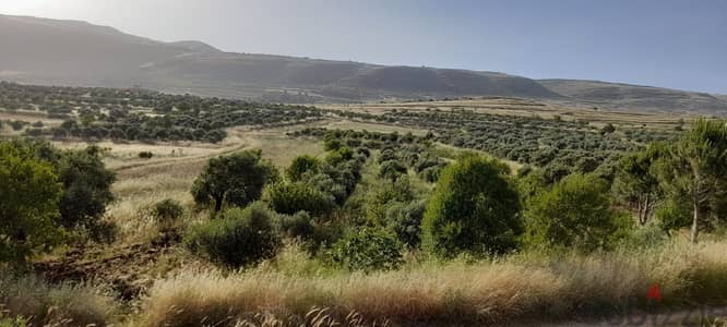 5000 Sqm |Land For Sale In Rashaya El Wadi راشيا الوادي |Mountain View