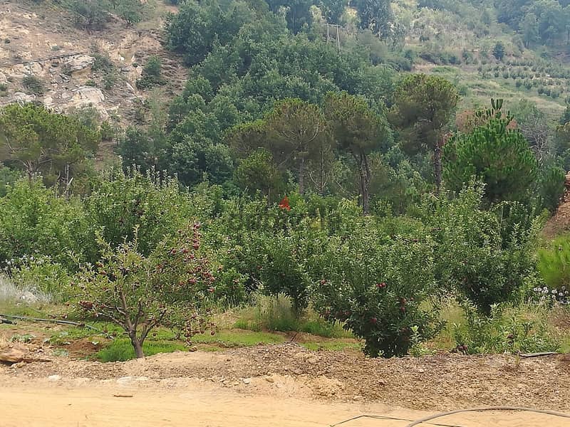 RWK172CS - Land For Sale in Kfardebian - أرض للبيع في كفردبيان 0