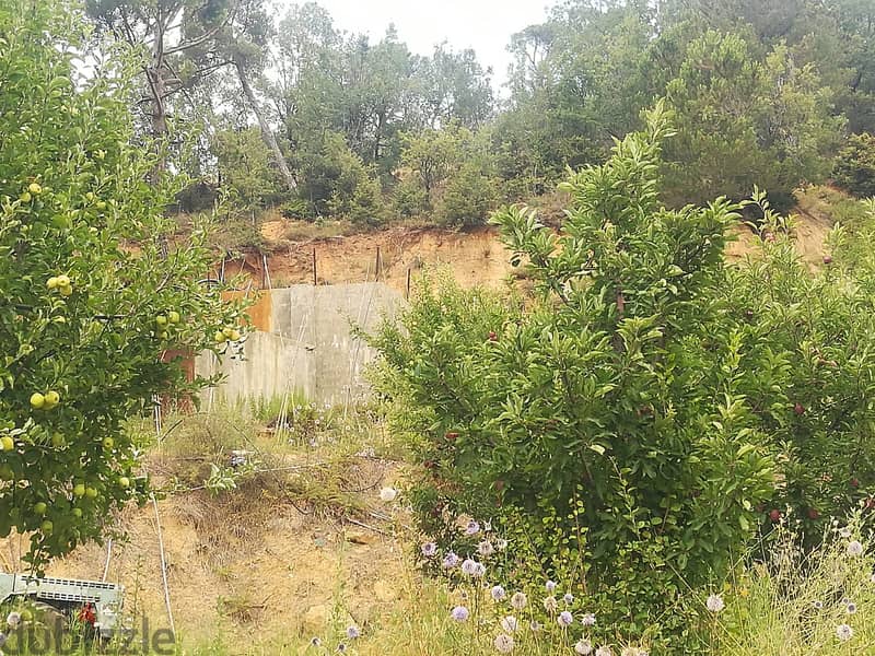 RWK172CS - Land For Sale in Kfardebian - أرض للبيع في كفردبيان 2