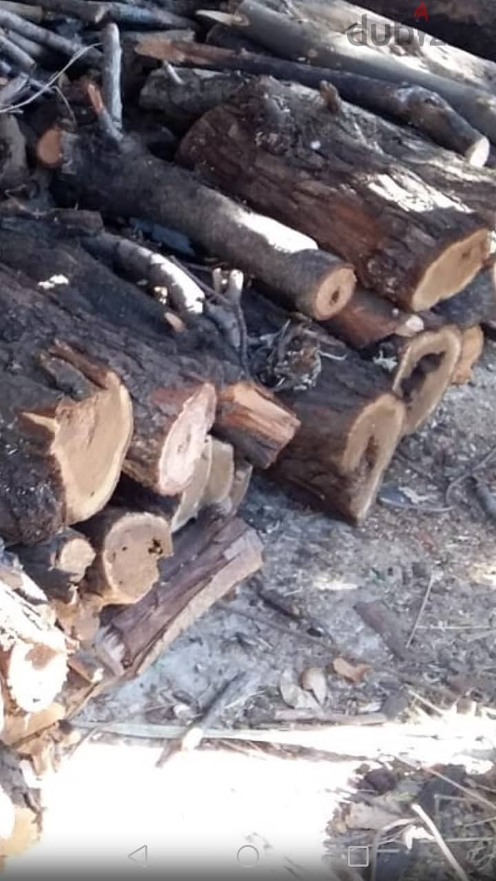 حطب يابس للبيع bois sec à vendre dry wood for sale 4