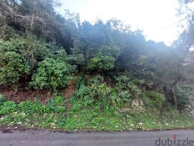 **Hot Deal *|Beautiful Land | Green View |