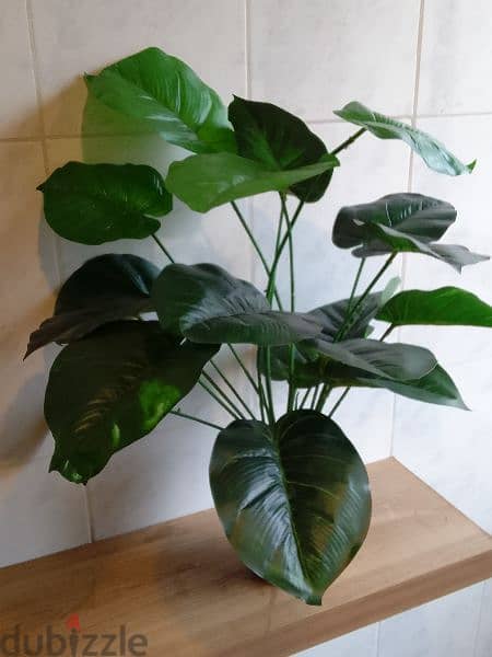 plant with pot  toul 65cm w3ared 60 cm 1