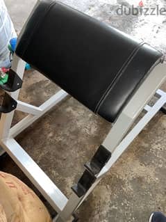 Preacher curl best sale bench olx