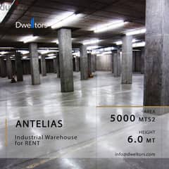 Warehouse for rent in ANTELIAS - 5000 MT2 - 6.0 Mt Height 0