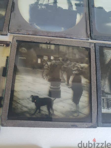 vintage from the 19 th century 55 glass plate negatif 2