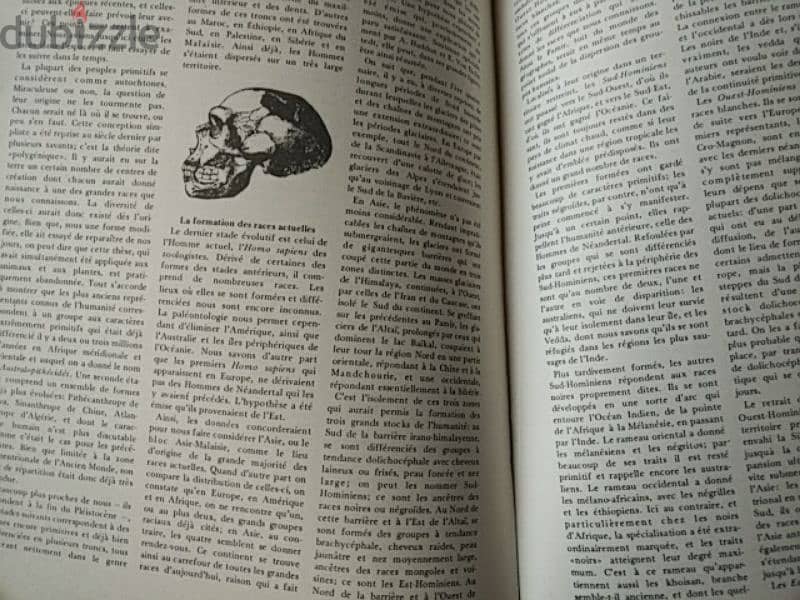 Vintage Encyclopedia Lumières - Not Negotiable 1