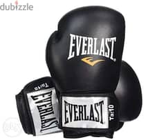 New Everlast Boxing Gloves (Free Delivery)