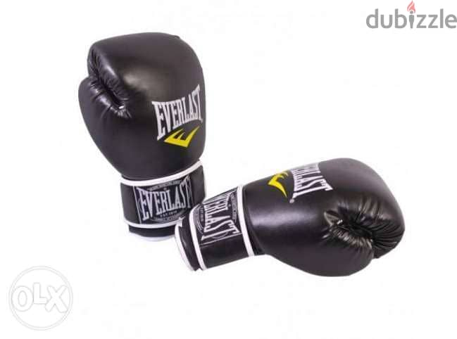 New Everlast Boxing Gloves (Free Delivery) 1