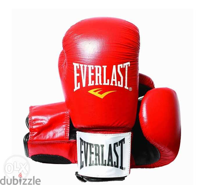New Everlast Boxing Gloves (Free Delivery) 2