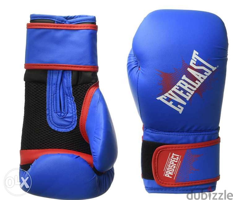 New Everlast Boxing Gloves (Free Delivery) 3