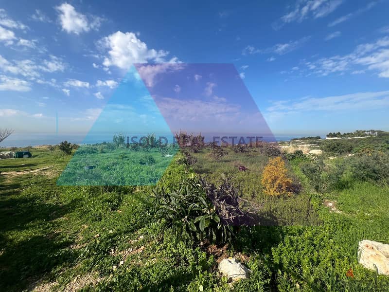 A 4378 m2 land + open mountain/sea view for sale in Berbara 5