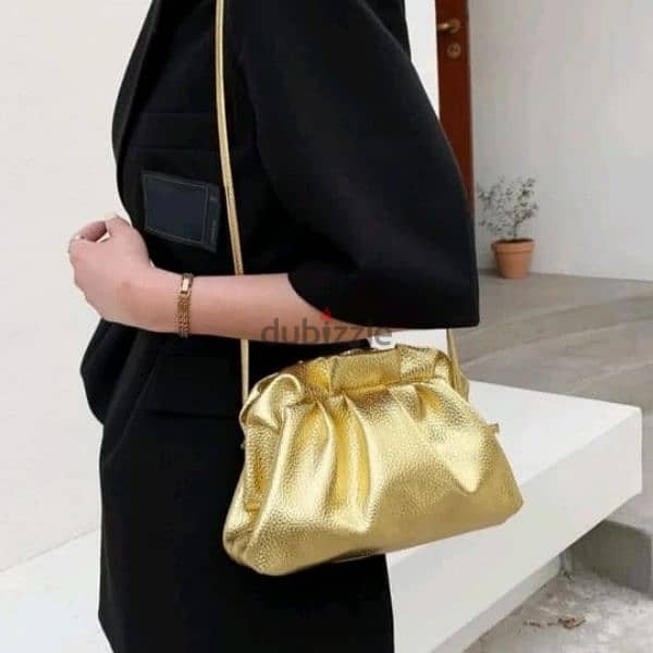 gold and silver bag 1