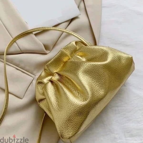 gold and silver bag 2