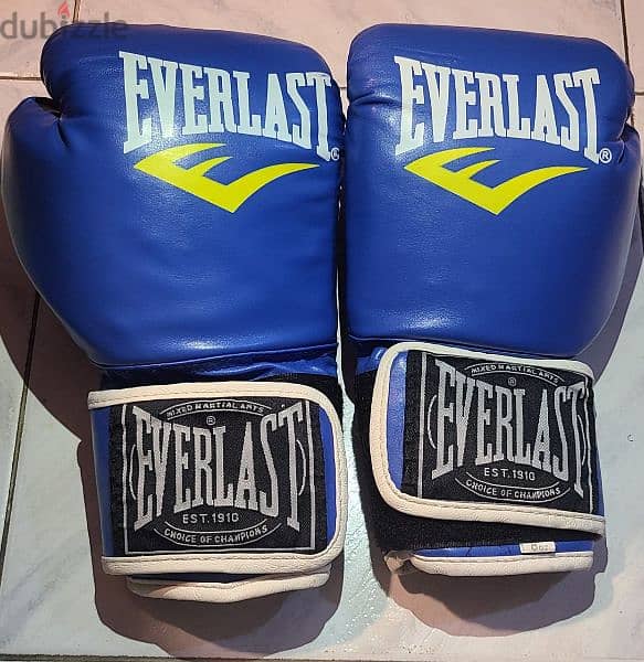 Everlast Gloves(8oz) for some martial arts 0