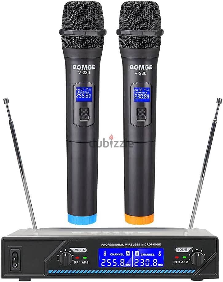 BMG V210 Wireless Microphone System,Ideal for Church,Karaoke,Birthday 1