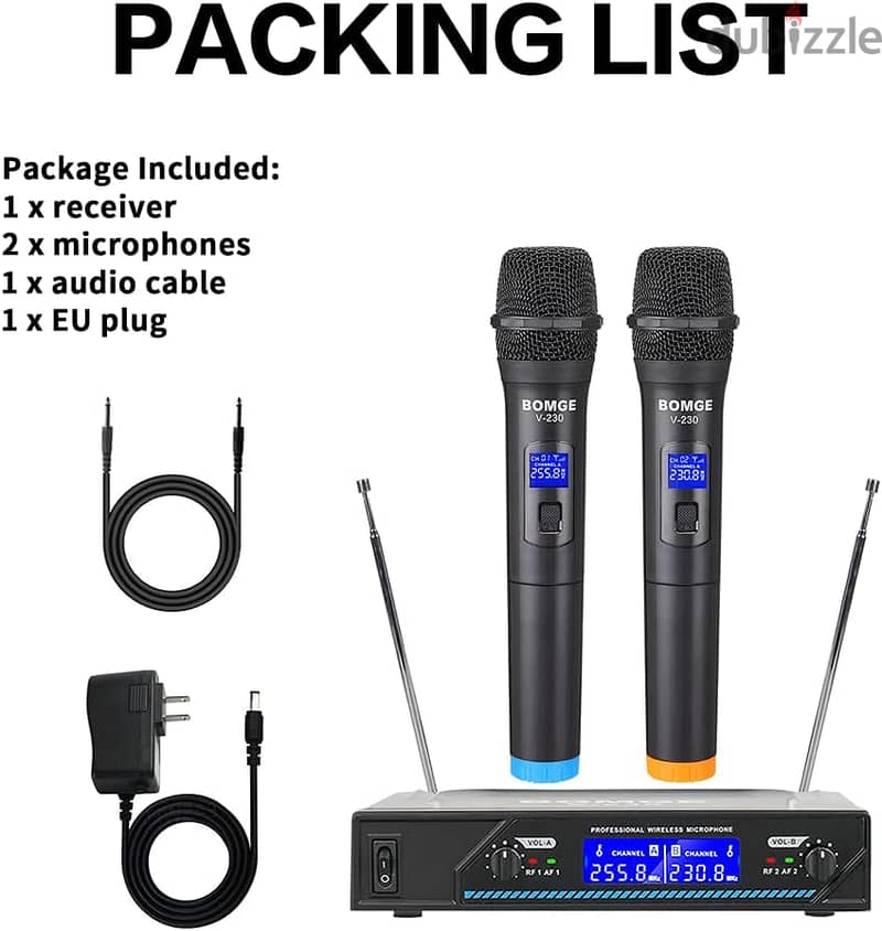 BMG V210 Wireless Microphone System,Ideal for Church,Karaoke,Birthday 2
