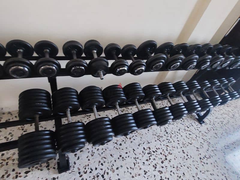 Serie dumbells from 5 to 55kg 0