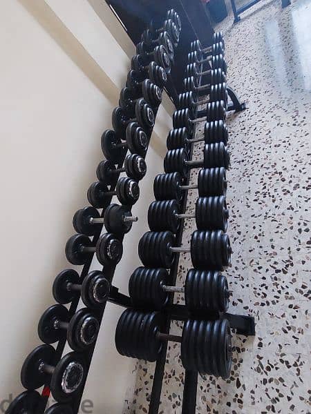 Serie dumbells from 5 to 55kg 1
