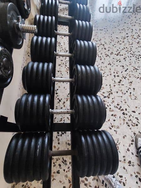 Serie dumbells from 5 to 55kg 2