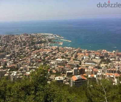 300$/SQ LAND IN AJALTOUN 40/120 ZONE SEA VIEW , Aj-1001